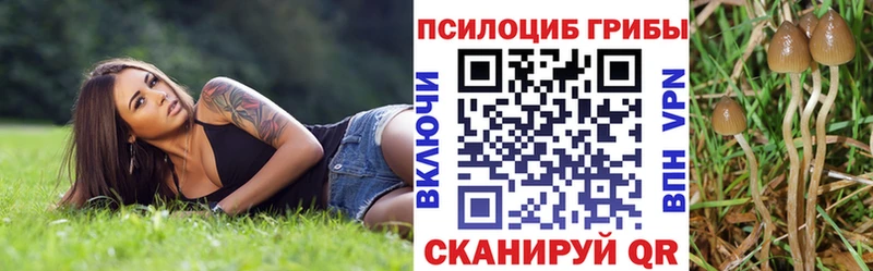 Псилоцибиновые грибы MAGIC MUSHROOMS Краснотурьинск